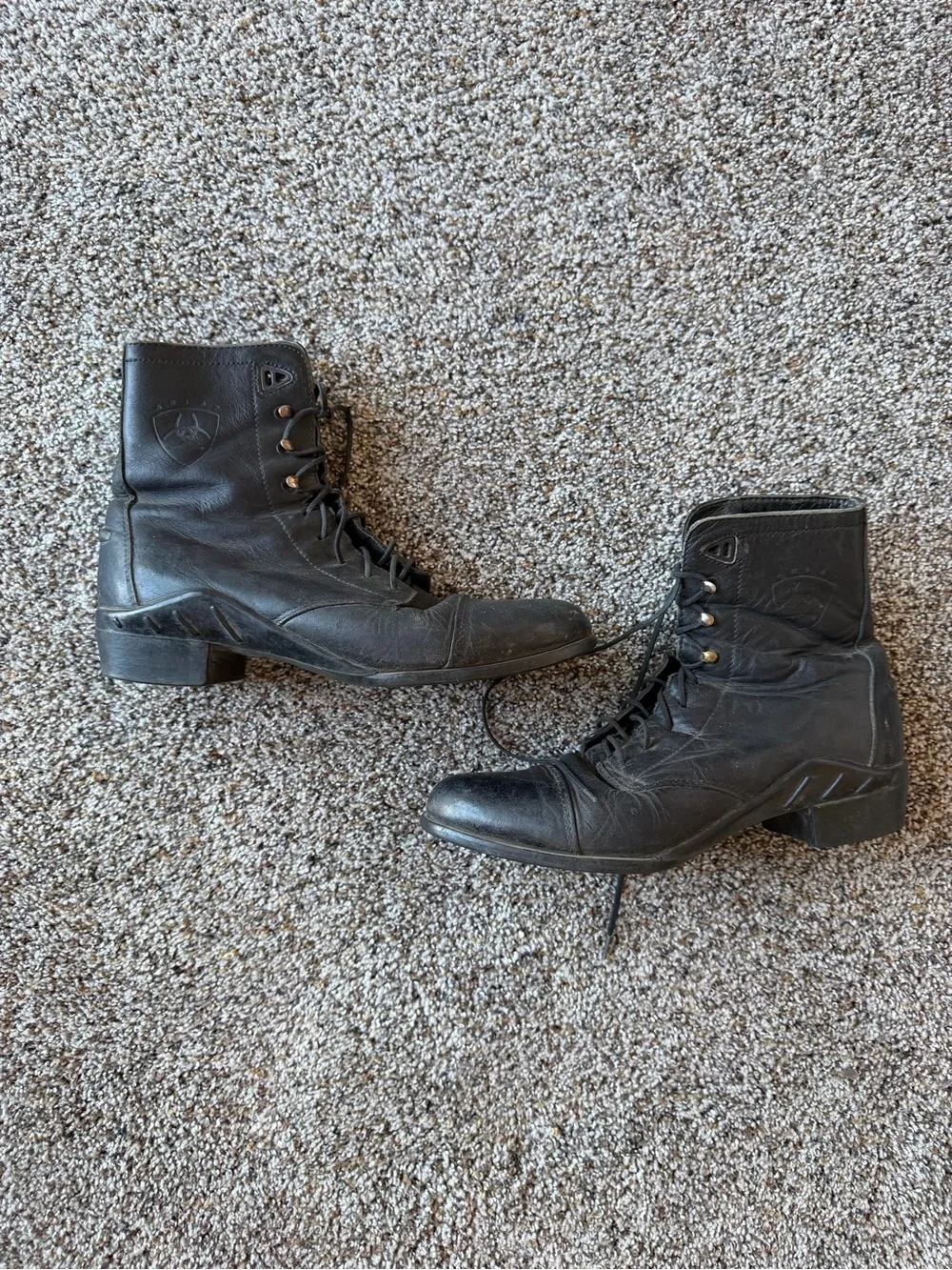 Ariat Black Leather Lace Up Paddock Riding Boots Women's US 8 Equestrian